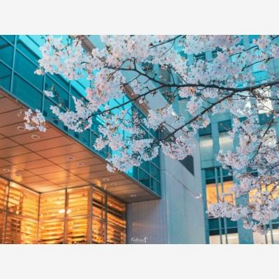 半岛官网入口网页版